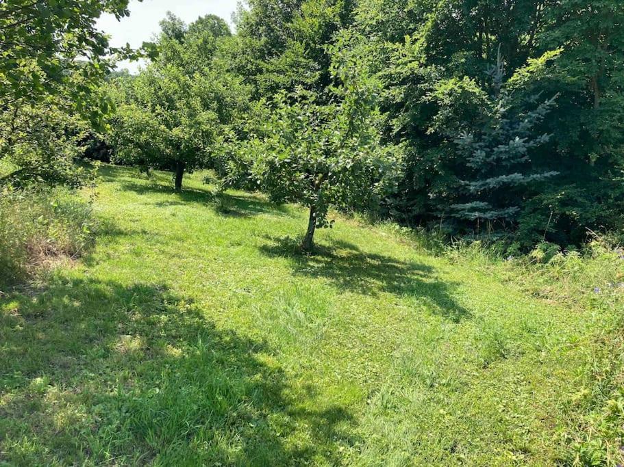 Ferienwohnung Niederstetten 外观 照片