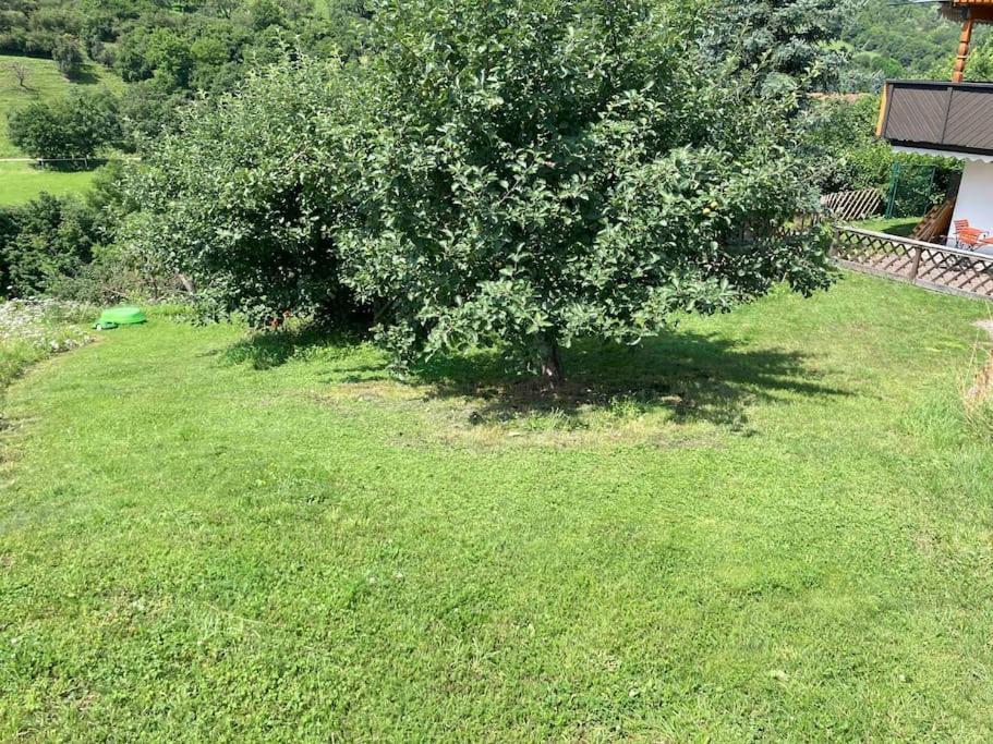 Ferienwohnung Niederstetten 外观 照片